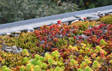 the cost of Steyning green roof installation
