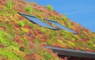 Steyning living roof systems